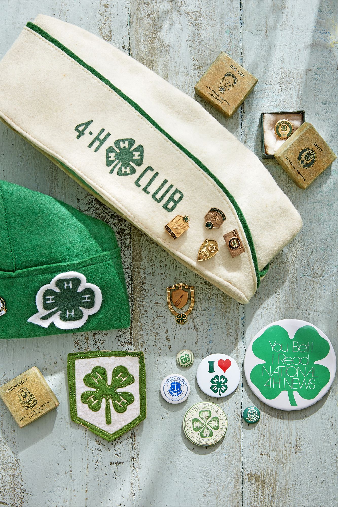 4-H Club Meaning - 4 H Club History