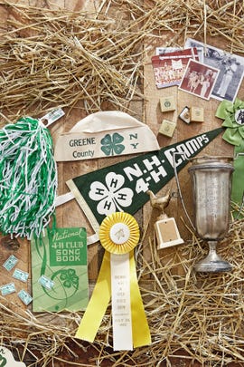 4-H, antiques, collectibles, trophies, ribbons