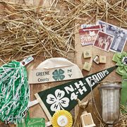 4-H, antiques, collectibles, trophies, ribbons