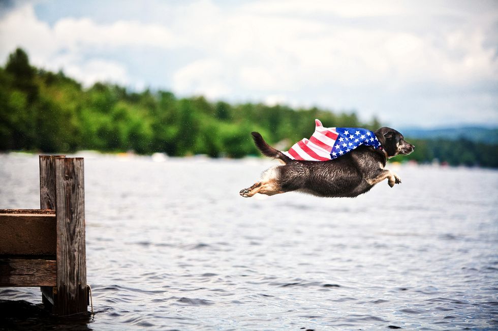 dog wearing american flag cape jumping from dog into lake that needs 4th of july caption
