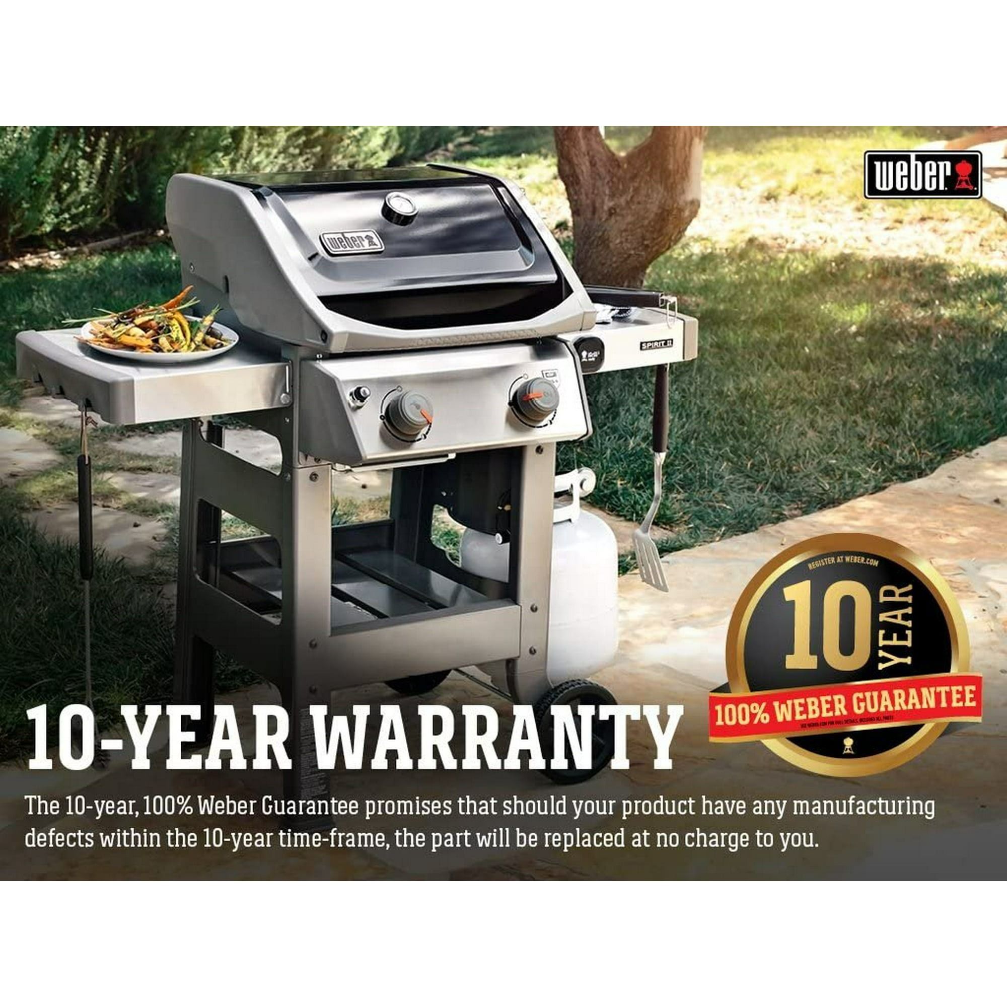 Best grill sales best sale