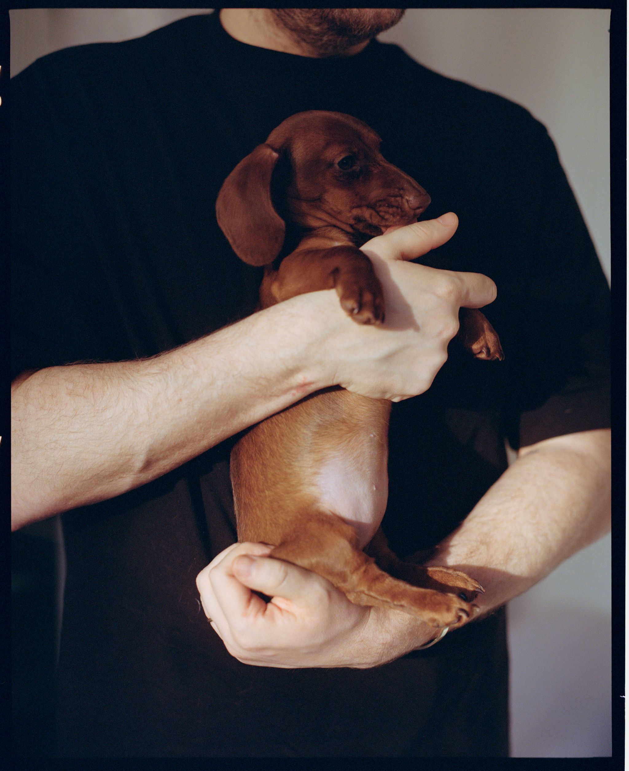 a person holding a dog