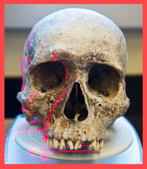 Skull, Bone, Head, Skeleton, Jaw, Human, Anthropology, Rock, 