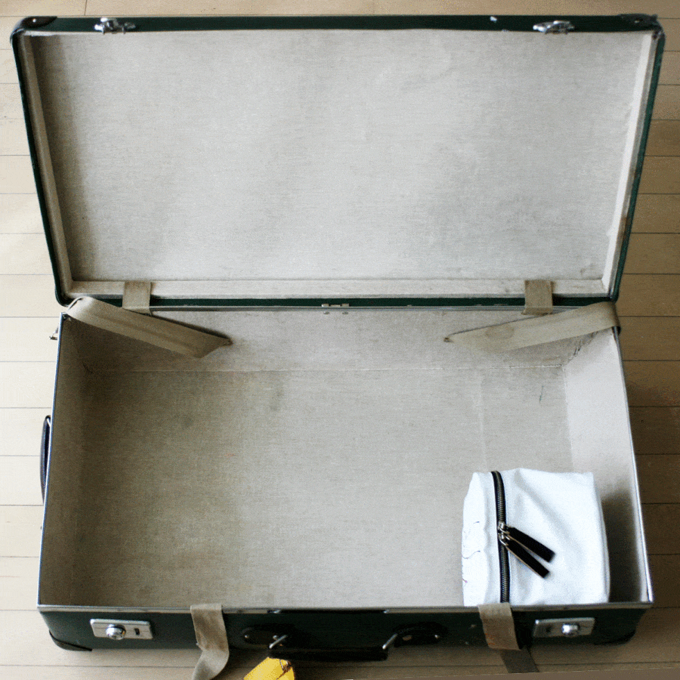 Briefcase, Suitcase, Bag, Baggage, 