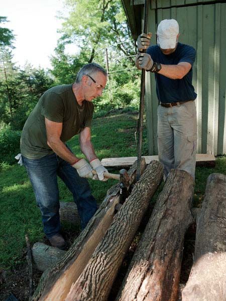 Tree, Lumberjack, Crosscut saw, Wood chopping, Woodsman, Wood, Chainsaw, Plant, Logging, 