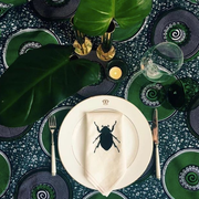 Green, Leaf, Table, Plate, Insect, Plant, Illustration, Green, Leaf, Table, Plate, Insect, Plant, Illustration,