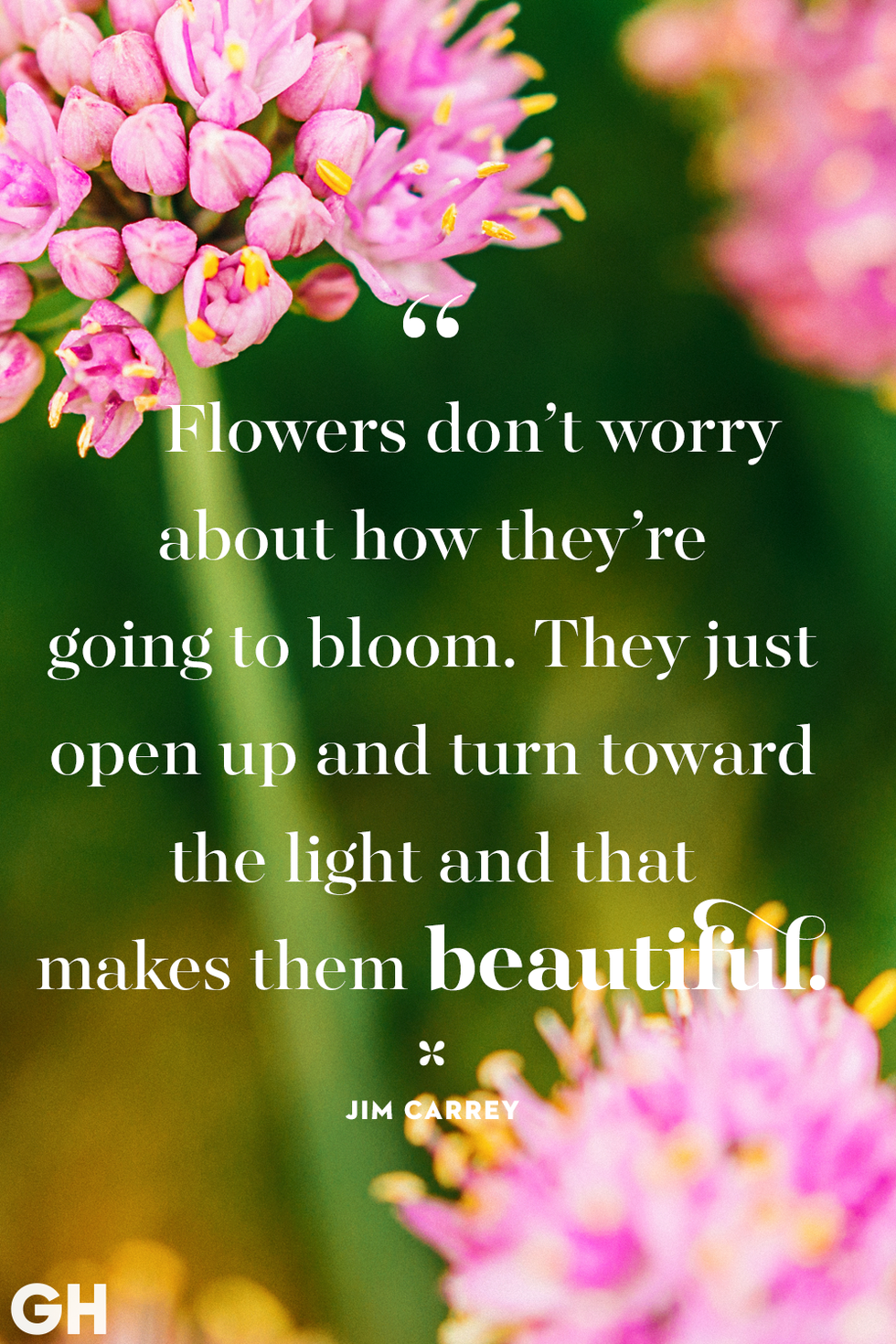 60 Best Happy and Poetic Spring Quotes