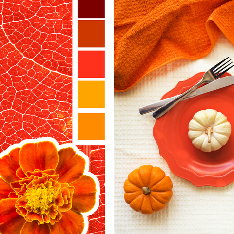 13 Best Thanksgiving Color Schemes 2020 — Thanksgiving Colors