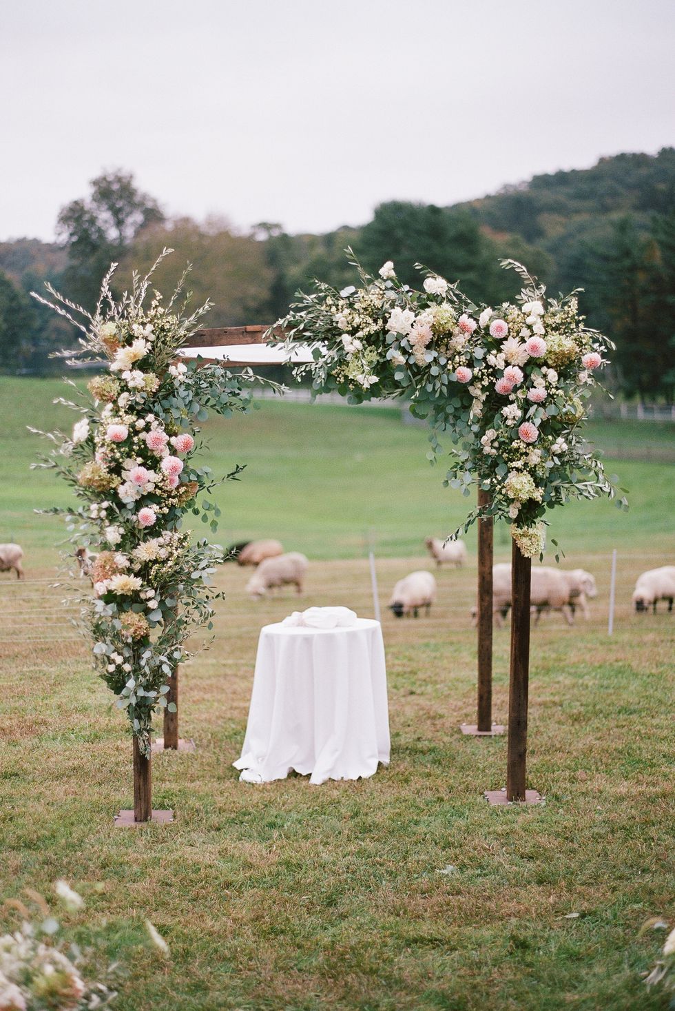 Photograph, Ceremony, Bride, Flower Arranging, Flower, Wedding, Dress, Plant, Aisle, Event, 