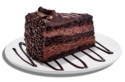 chocolate cake slice with layers and chocolate drizzle on a plate