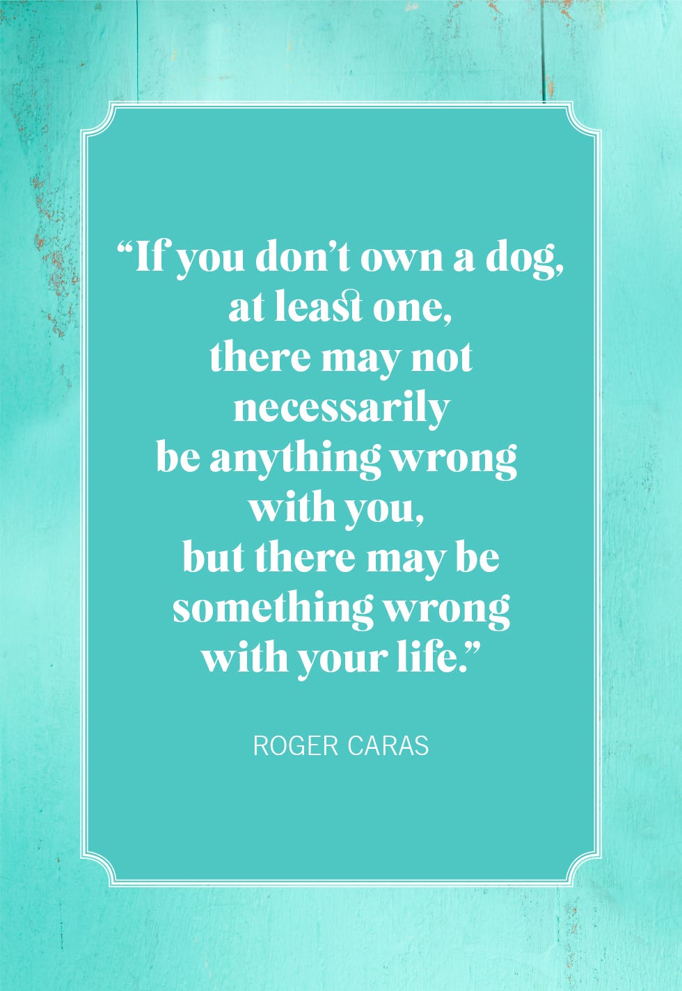 30 Best Dog Quotes - Cute Quotes and Sayings About Dogs