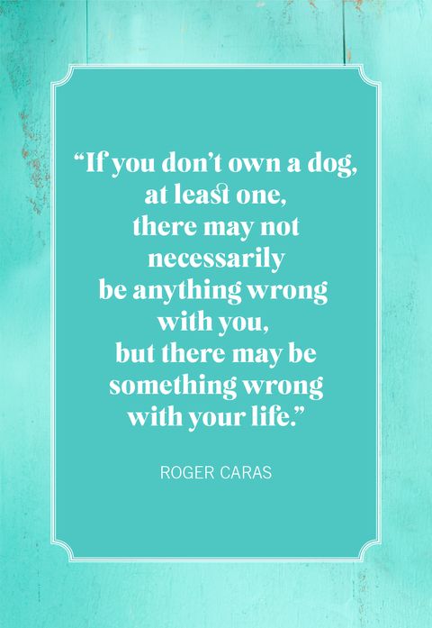 dog quotes roger caras