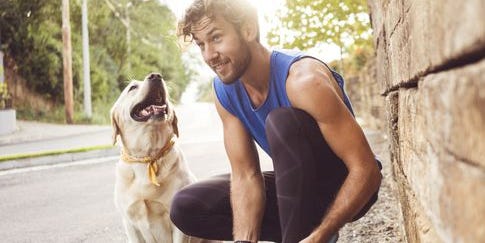 愛犬と一緒,健康,トレーニング,筋トレ,ワークアウト,散歩,ジョギング,