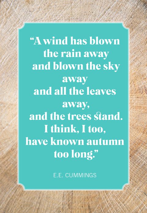 fall quotes ee cummings