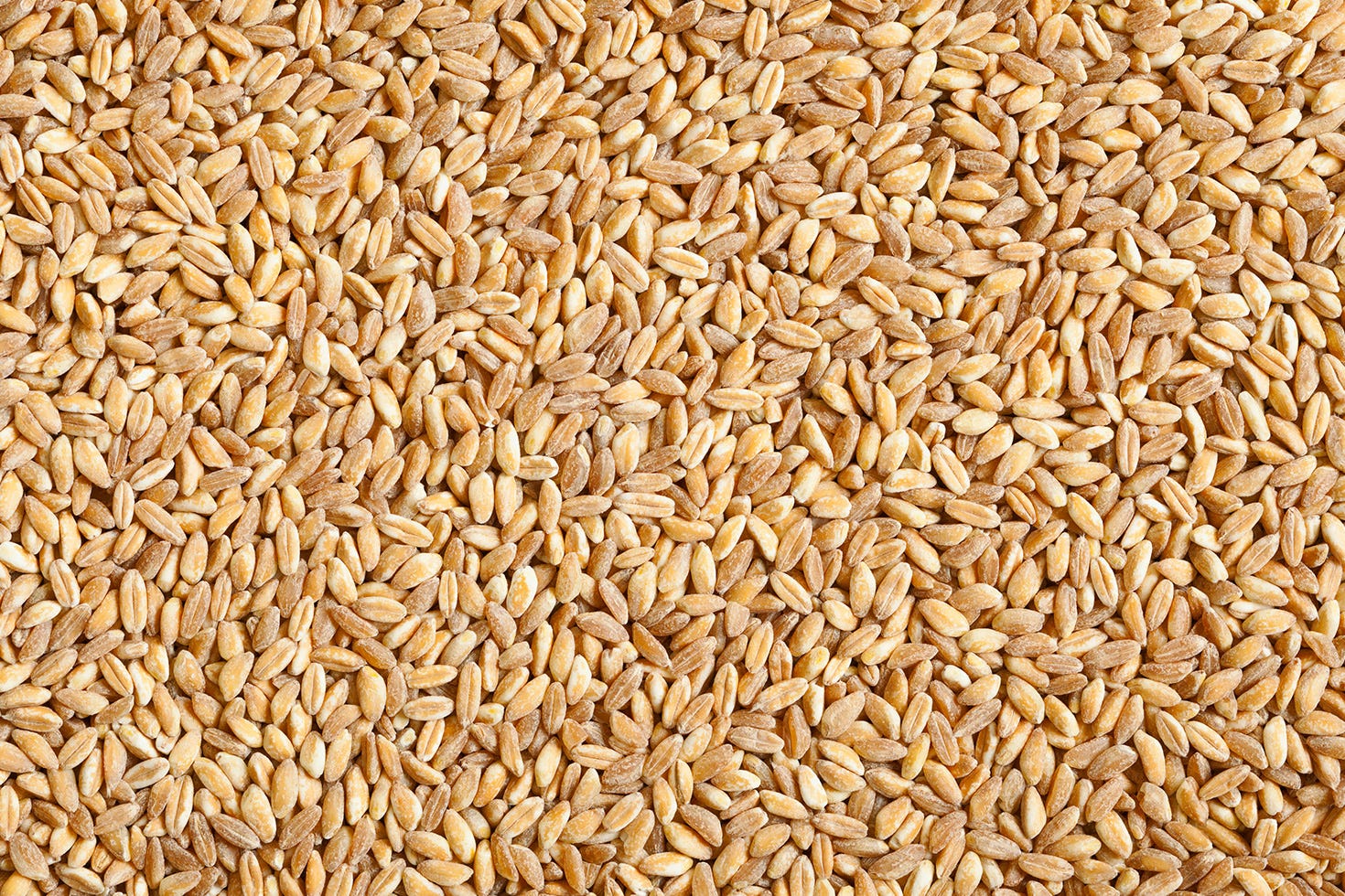 12 Healthiest Grains To Eat - Whole Grains Lists