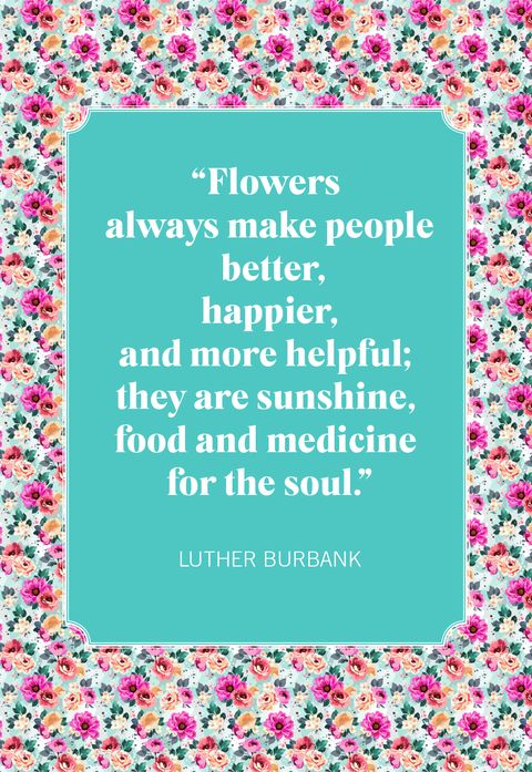 56 Inspirational Flower Quotes - Best Quotes About Flowers