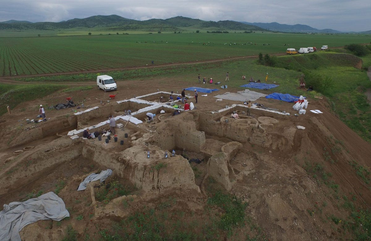 Archeologen die dit Neolithische dorp in het land Georgia opgraven vonden stukjes kleipotten met resten van s werelds oudste wijn