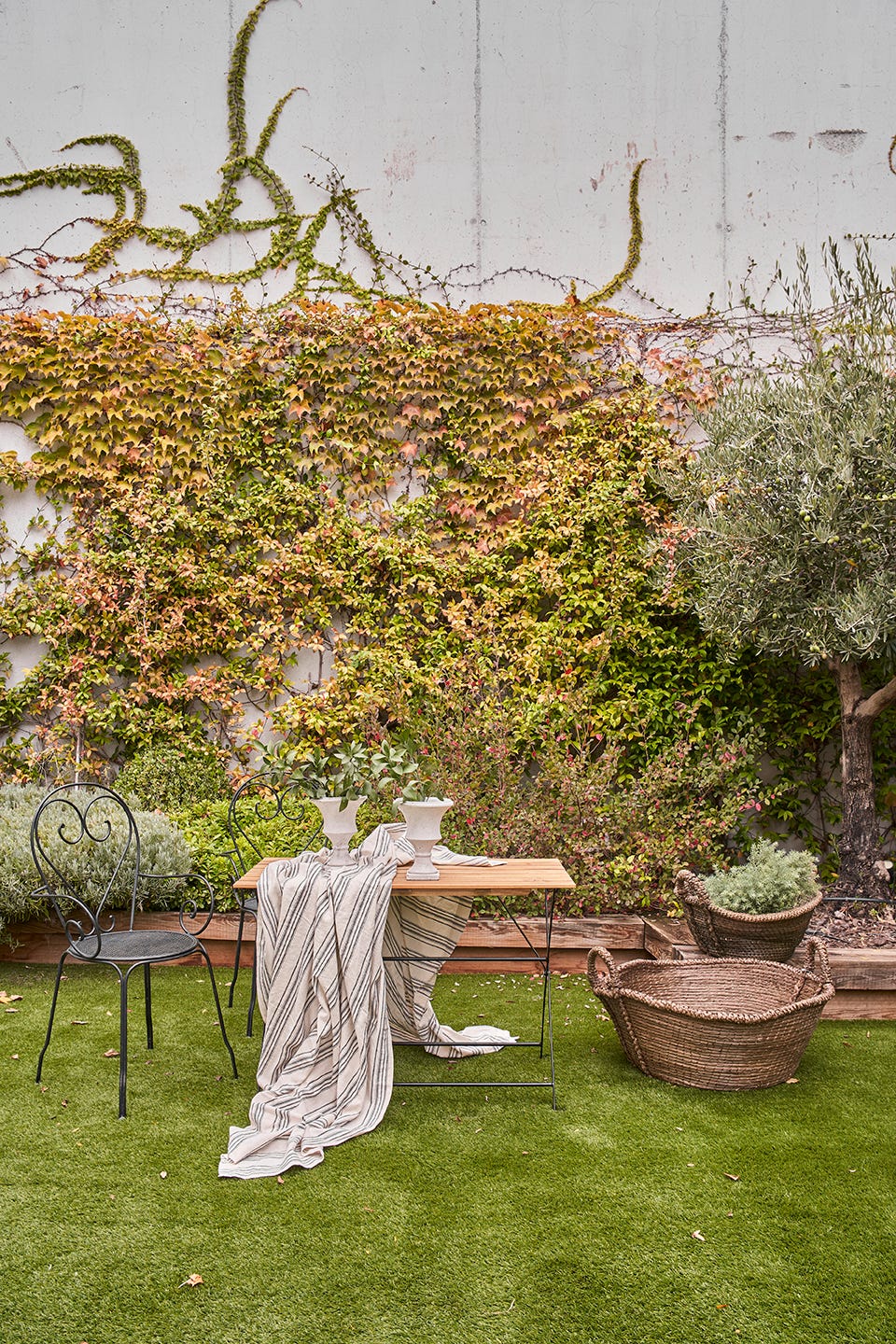 Garden with climber, table and chairs