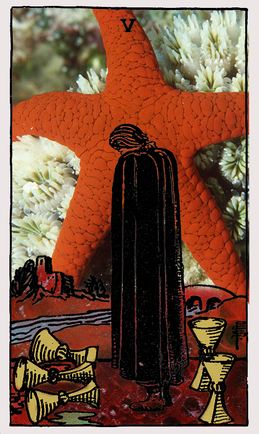 5 of cups