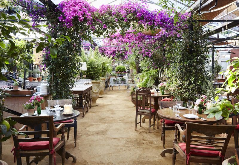 5 ristoranti con giardino a Londra