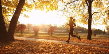 Energie behouden in de herfst