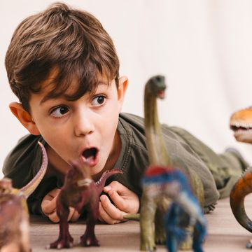 5 year old boy with dinosaur toys