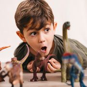 5 year old boy with dinosaur toys