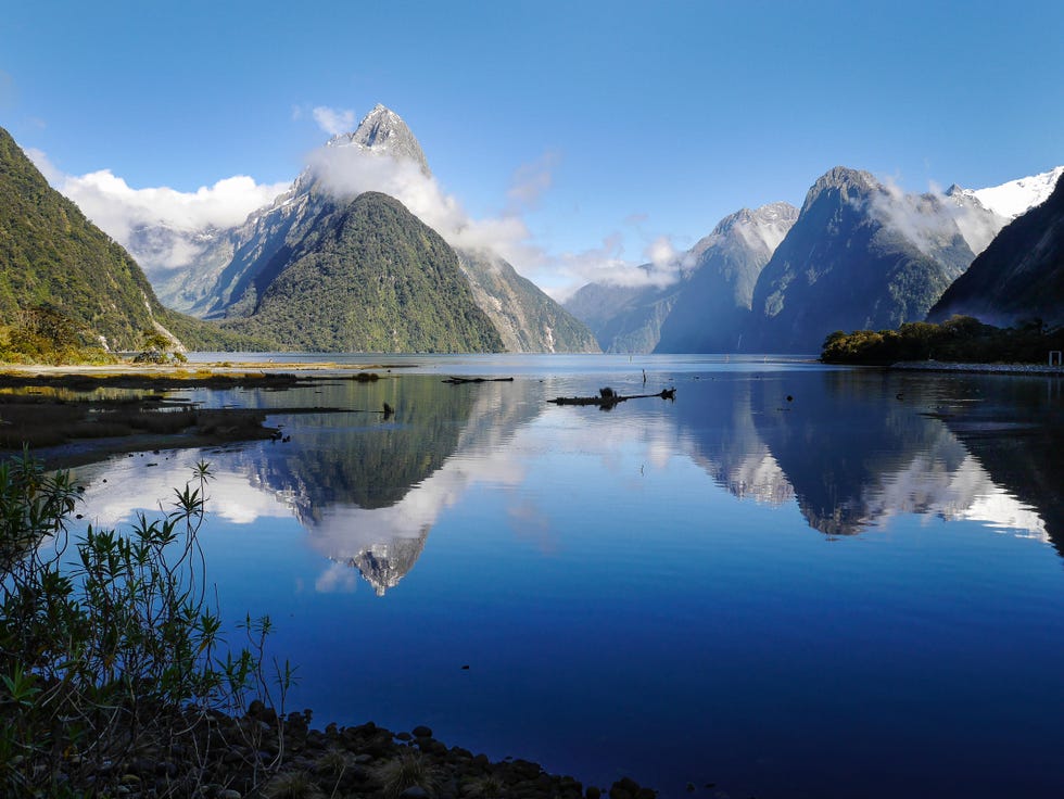 Fiordland National Park NZ