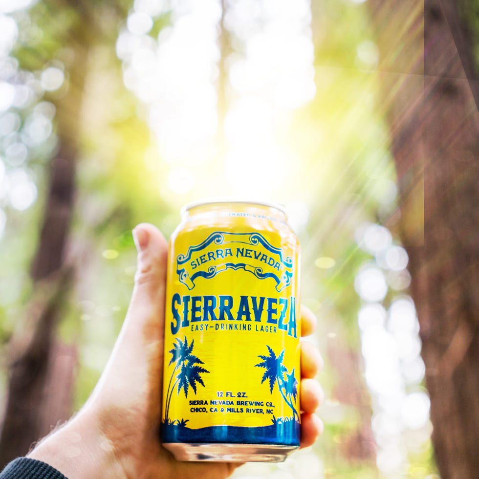 12 Best LowCalorie Beers, According to Dietitians Good Tasting Low Calorie Beer