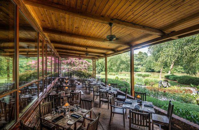 Real estate, Property, Tree, House, Restaurant, Room, Building, Home, Porch, Interior design, 