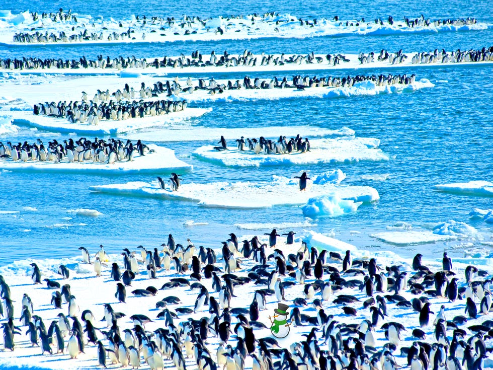 frozen planet