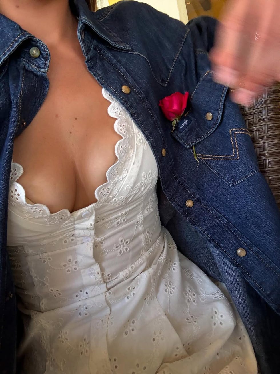 bella hadid wrangler
