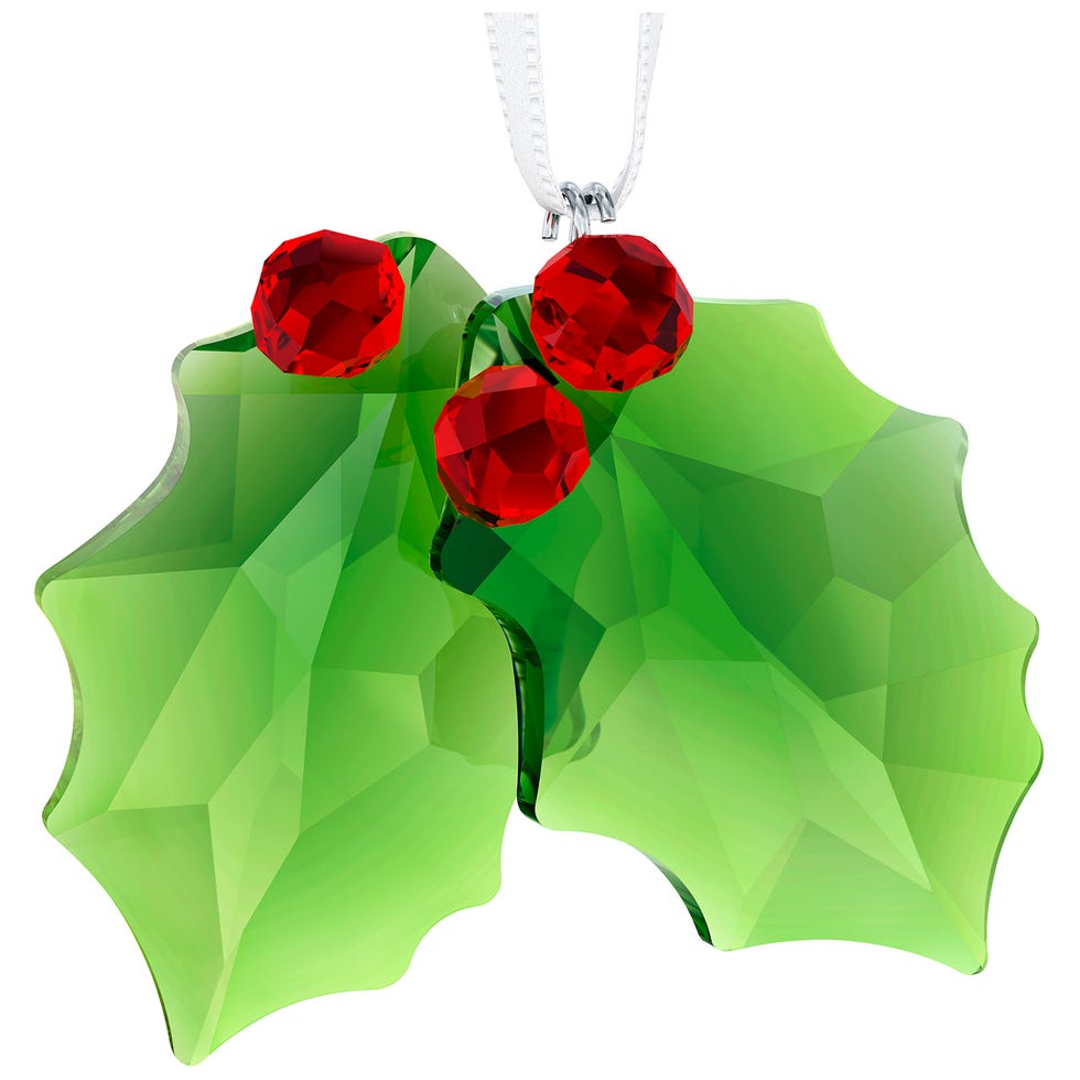 Red, Green, Leaf, Flower, Holly, Petal, Plant, Fashion accessory, Symbol, Pendant, 