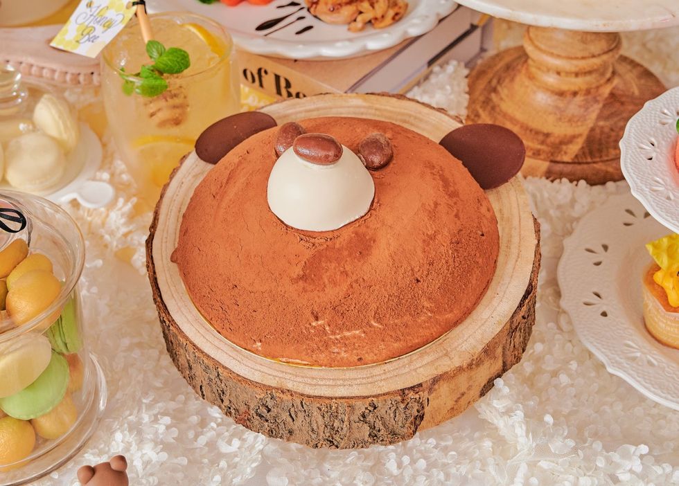 日本全国でポストマリトッツオ、個性派ズコットケーキが続々登場！おすすめ6選