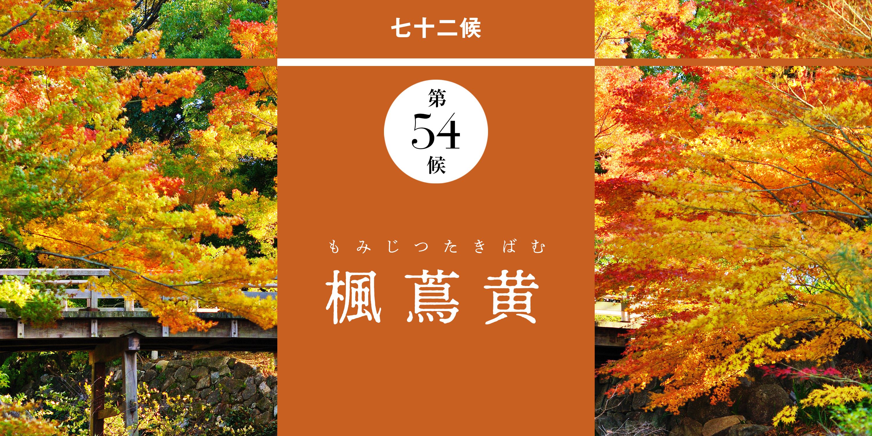 霜降】の歳時記丸わかり！暦の「霜降」は秋の節気の何番目？