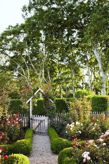 ideas de caminos para decorar el acceso al jardín de tu casa