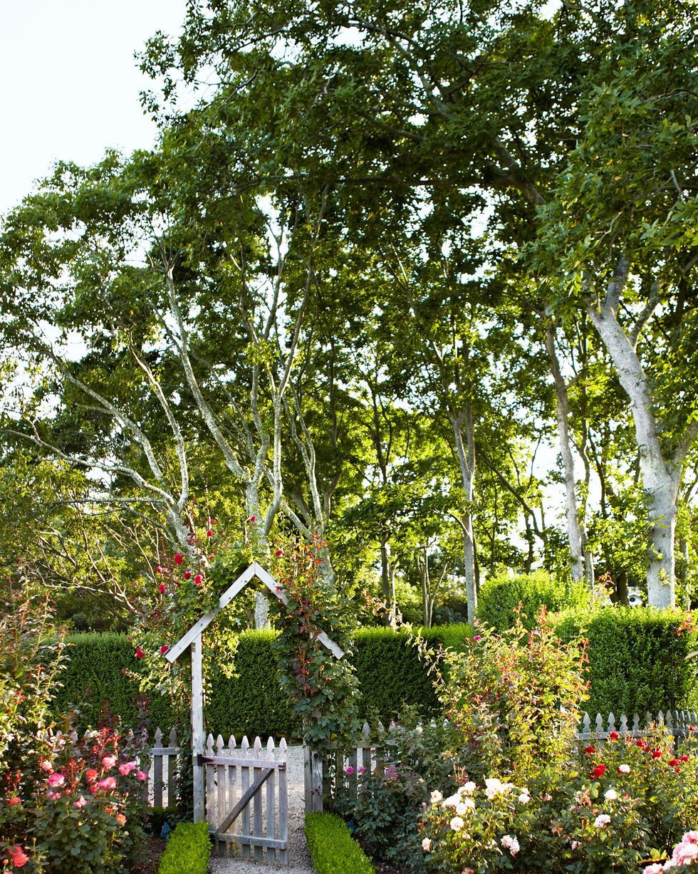 Jardines con piedras blancas: Dale un toque elegante a tu espacio exterior  - JARDINES CASA