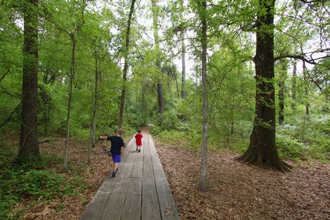 best walking trails    arboretum outer loop trail