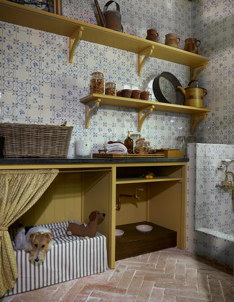 Rustic kitchen area with pet resting on a striped bed.
