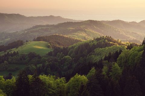 Duitsland telt 16 nationale parken 15 Unescobiosfeerrreservaten en 48 geselecteerde parken Een van de jongste nationale parken is Schwarzwald dat in 2014 werd ingericht Het park biedt grandioze vergezichten en wilde naaldbossen diepe kaarmeren en donkere venen
