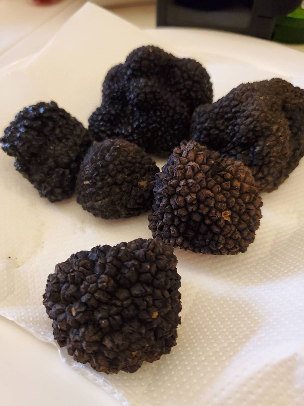 a group of black truffe