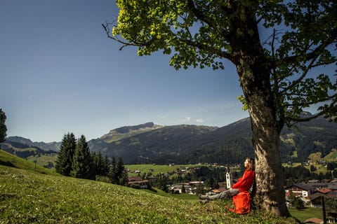 In de zomer zou niemand vermoeden dat de groene weiden en met dennenbossen begroeide heuvels van Kleinwalsertal s winters veranderen in een wintersportparadijs Wandel door deze explosie van groen en kom volledig tot rust