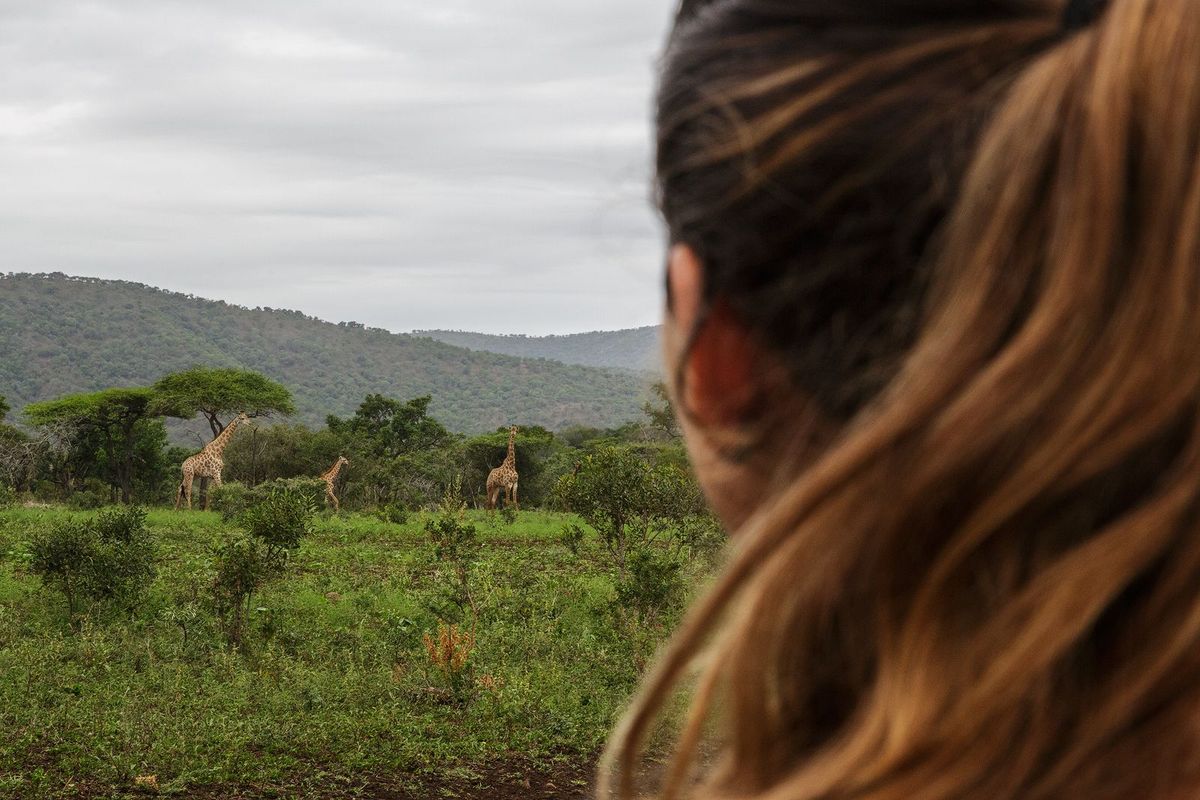 Tijdens een wandeling door het wildreservaat lopen we wilde giraffen tegen het lijf