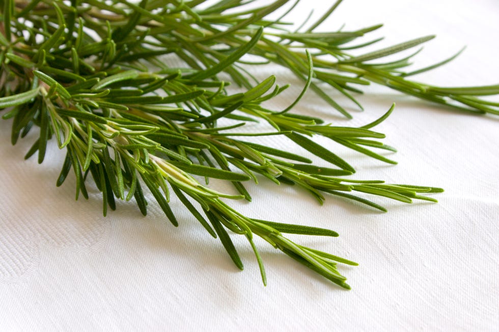 Rosemary