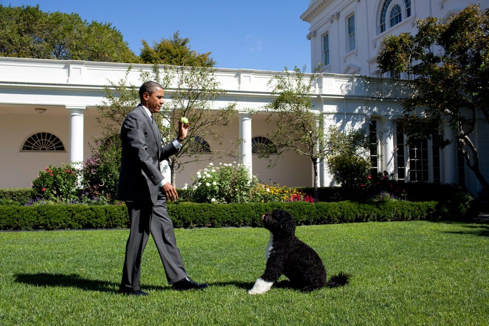 President Barack Obama