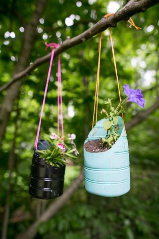 Mason jar, Swing, Plant, Flower, Flowerpot, Tree, Backyard, Shoe, Garden, Houseplant, 