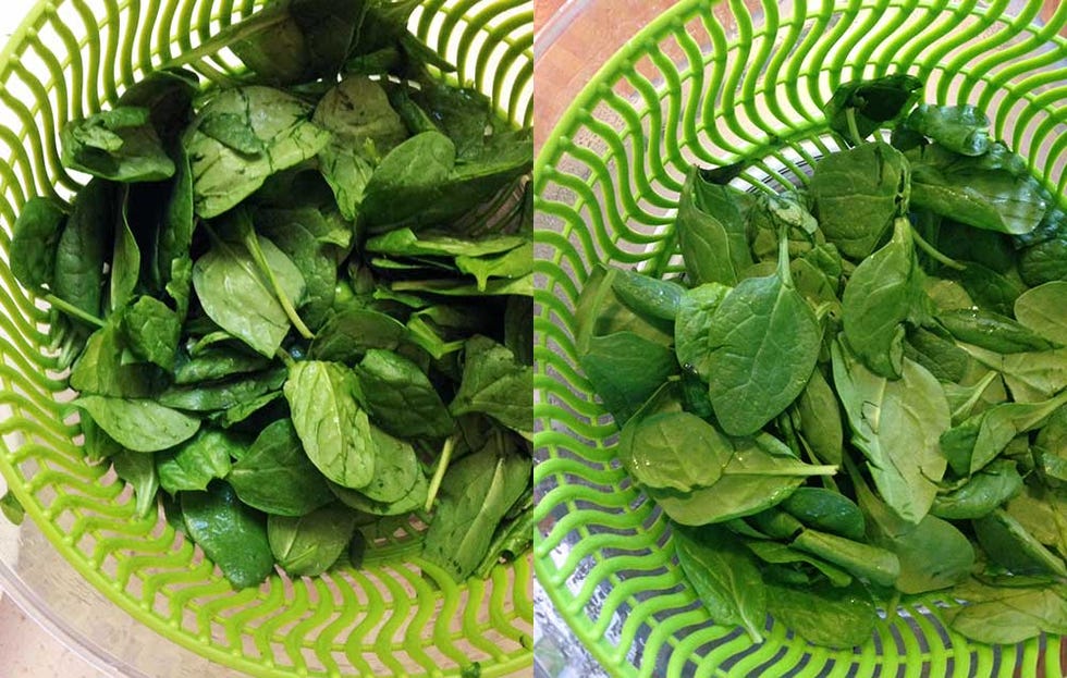 Roll Up Your Salad Greens to Keep Them Dry and Crisp