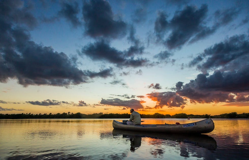 De Everglades in Florida
