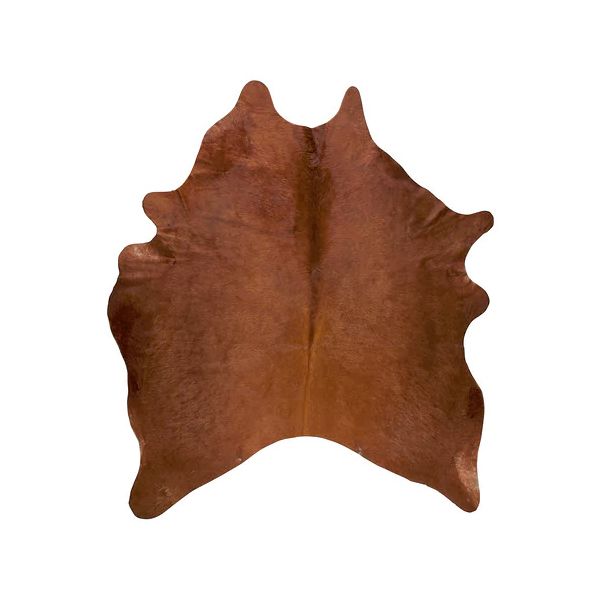 Leaf, Brown, Tree, Plane, Woody plant, Maple leaf, Plant, Beige, 
