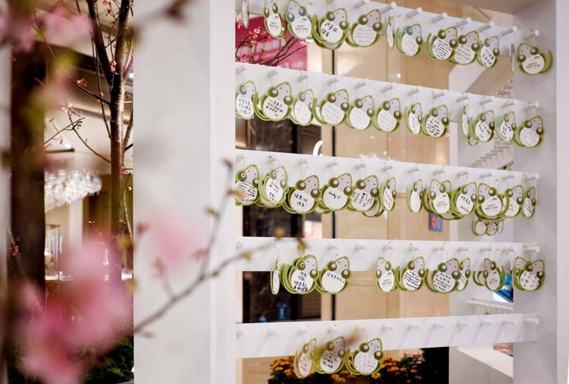 Photograph, Pink, Flower, Floral design, Spring, Branch, Plant, Floristry, Flower Arranging, Interior design, 